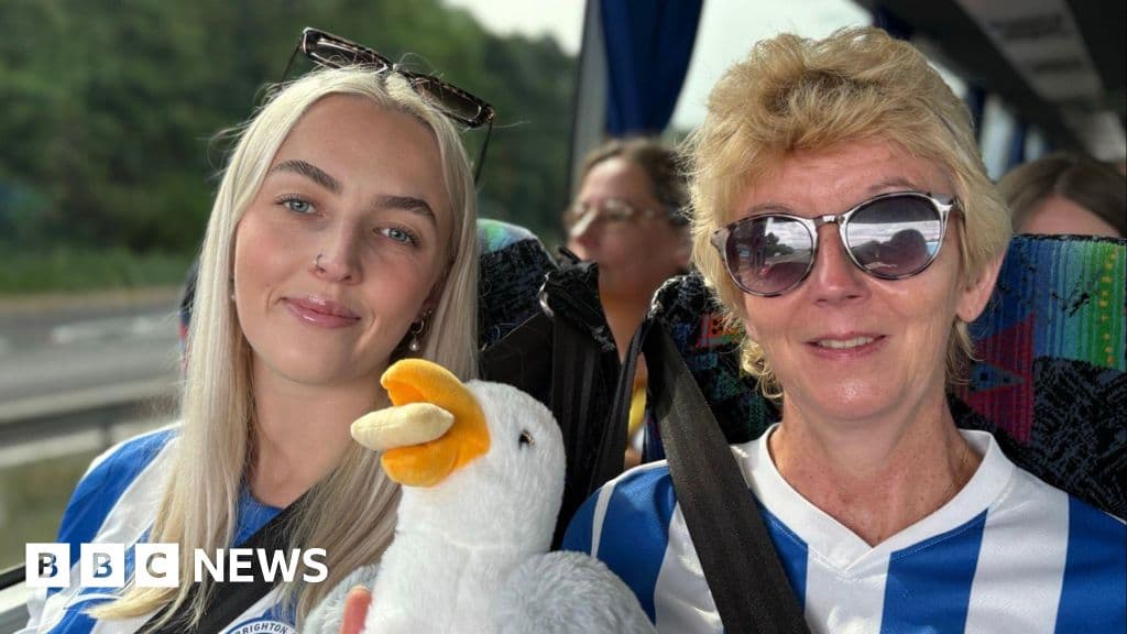 Seagulls fans flock to Wembley for FA Cup final