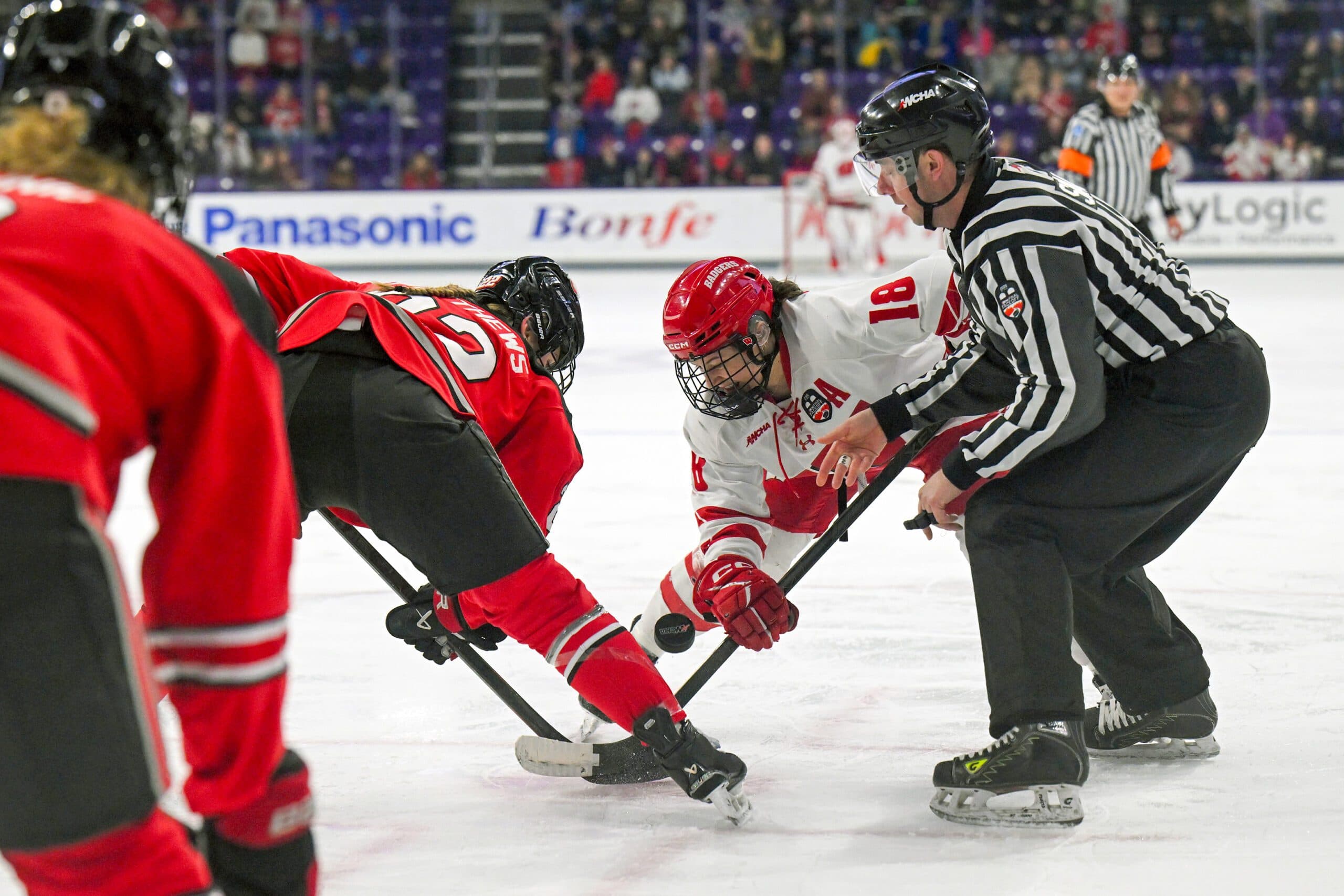 NCAA Women’s Hockey Powerhouses Take the Ice in 2026 Frozen Four